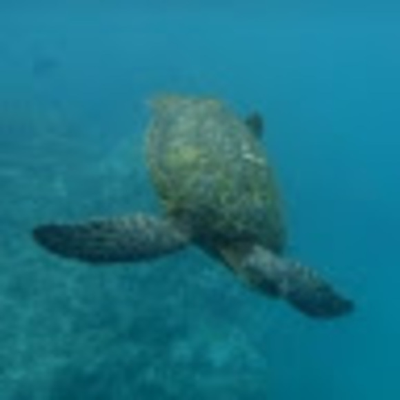 Meet your Posher, Jessica - Picture 1 of 1